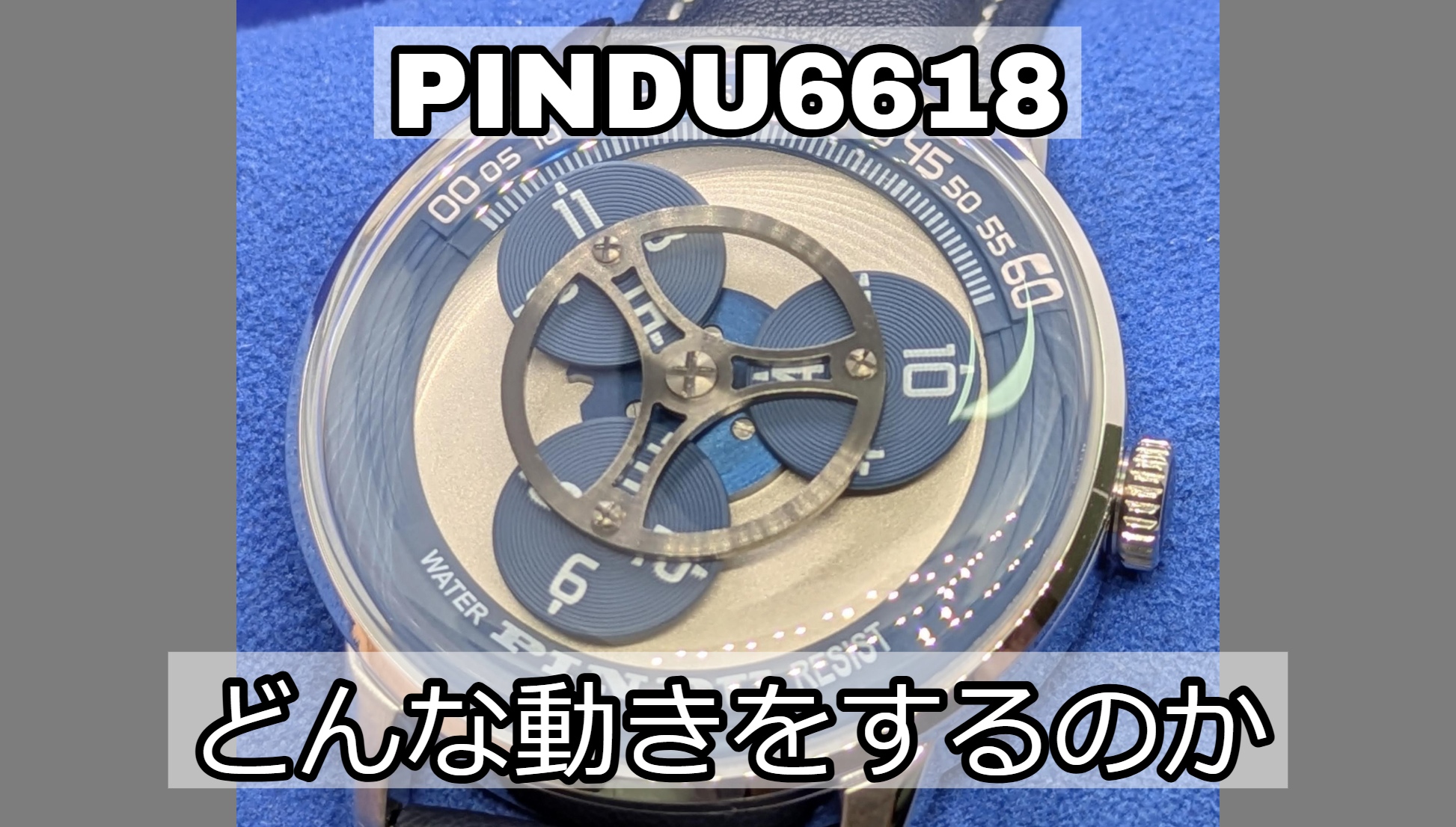 PINDU 6618 どんな動きをするのか